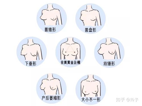 今天玲子就来帮大家, 重新认识乳房~  ▼   关于胸型 从外观最直接的