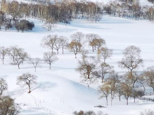 冬天的乌兰布统白雪皑皑银装素裹