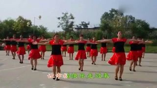 栀子广场舞今夜舞起来(二十人变队形)