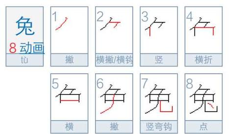 兔的笔顺:兔的笔顺笔画怎么占田字格