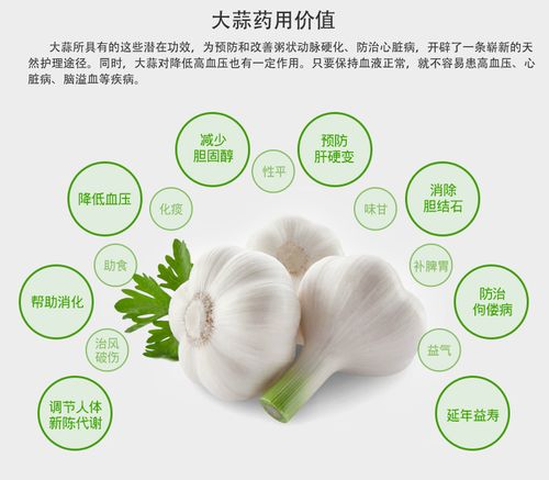 普白大蒜 邳州优质大蒜出口 代加工大蒜 有机食品 农家辛.