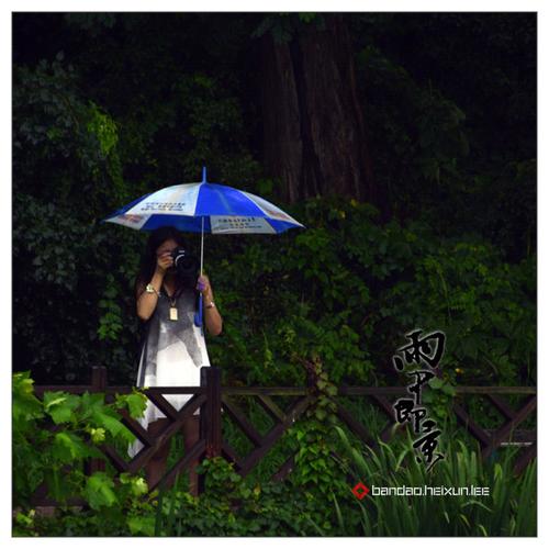 雨中即景