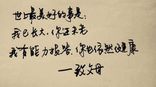 多参数生理检查仪,让爱无处不在——实时监测父母健康