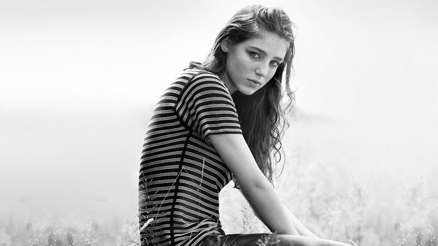 co - hb51-birdy-fire-within