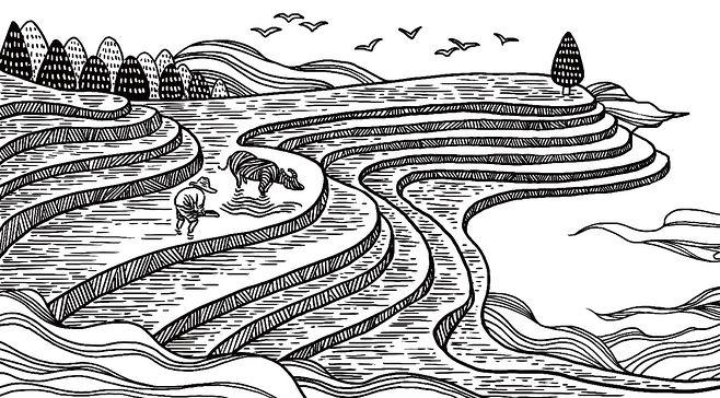 应时发生云南梯田红米品牌包装古田路9号