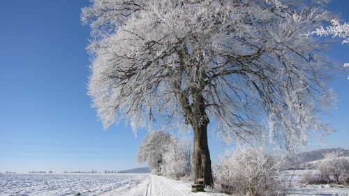 冬季高清雪景图片大全17