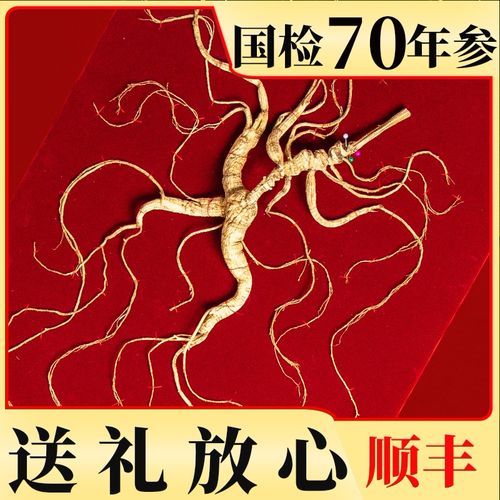 汇林宝东北长白山灵阳老野山参林下参野生鲜人参野山礼盒送礼高档