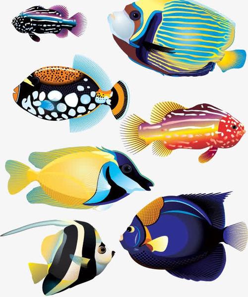 关键词 : 花纹,色彩,热带,深水,彩绘,矢量