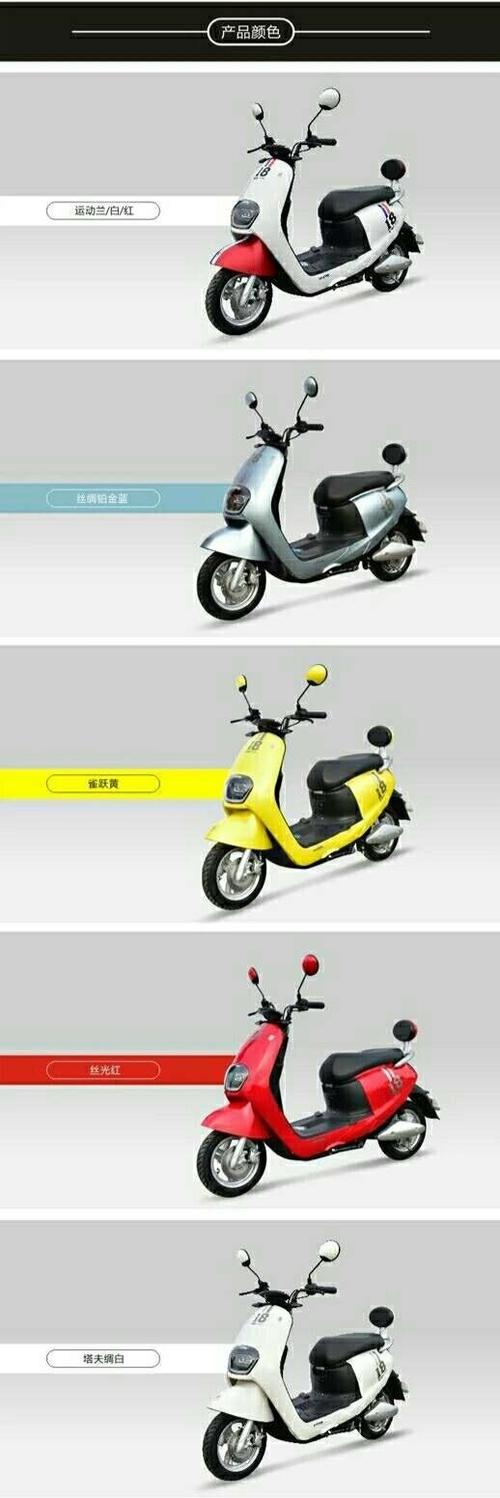 金箭电动车 曲周.鸡泽站