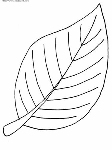树叶简笔画3