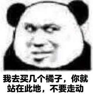 买橘子不要走动认真脸表情包 你就站在那里等我回来
