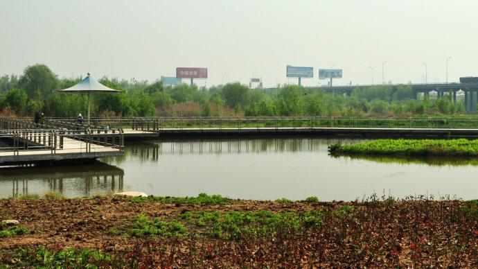 灞桥生态湿地公园