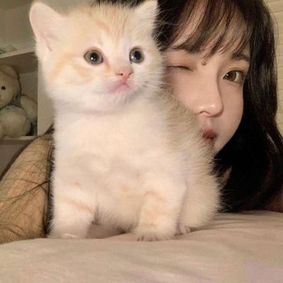 沫兮干净优质唯美气质女生头像