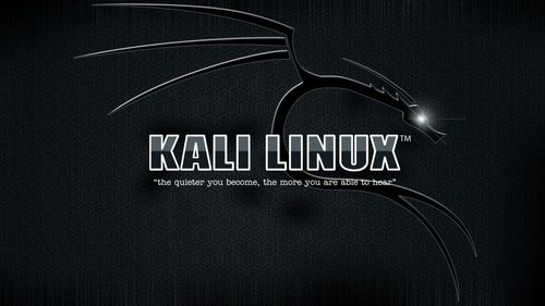 kali linux系统:如何升级/更新?