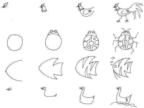 动物简笔画步骤_教你画小动物们