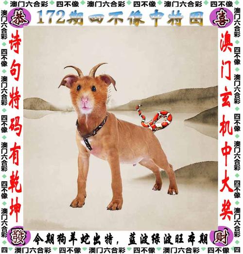 澳门四不像图 香港四不像图