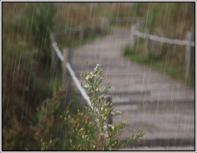 路边栏杆小径下雨春雨绵绵下雨了gif动图_动态图_表情