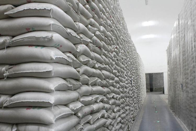 杭州市某地下粮库