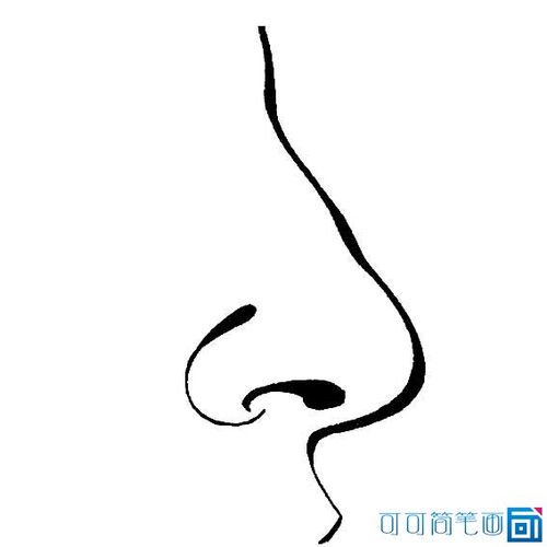 人物鼻子简笔画图片(2)