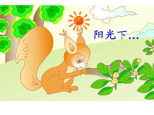 小松鼠找花生microsoftpowerpoint演示文稿.ppt