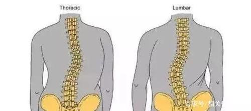 宝宝脊椎变形!只因为妈妈这个习惯