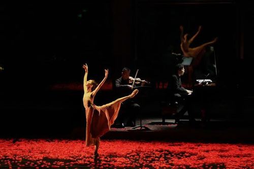 音乐舞蹈剧场·芭蕾随响 《角色》开启唯美首演