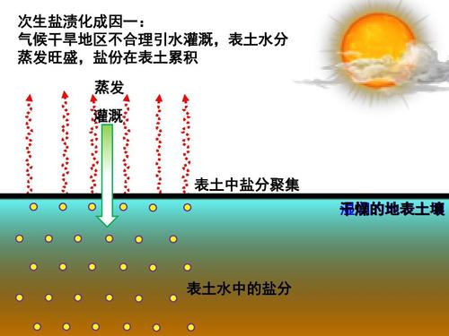 次生盐渍化成因动画ppt