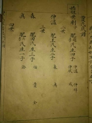河北沧州市沧县黄递铺乡"明金吾将军贾世纲"家族源流