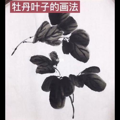 牡丹叶子的画法_牡丹_水墨画_人文_绘画