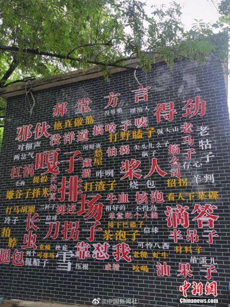 在河南省信阳市郝堂村,山脚下有一处"方言墙",游客每到这里,都会被满