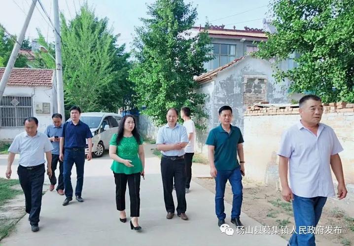 市农业农村局到葛集镇督导农村环境整治工作