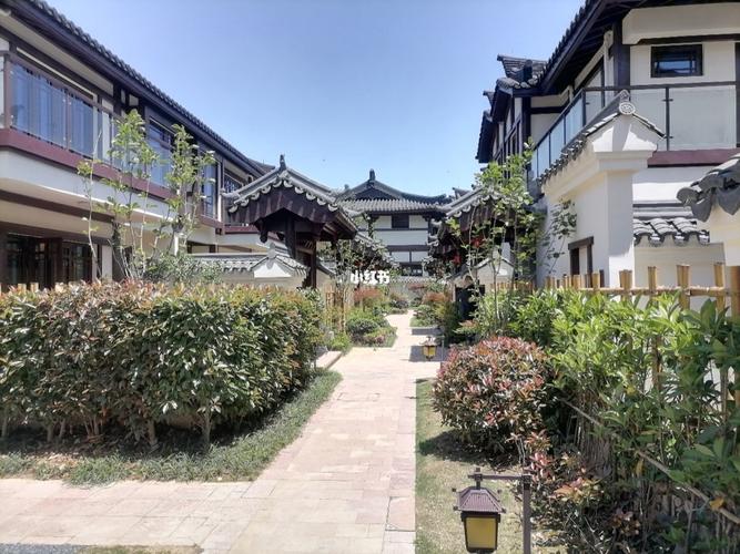 大唐贡茶院_投资_别墅_杭州买房_商业财经_楼市资讯