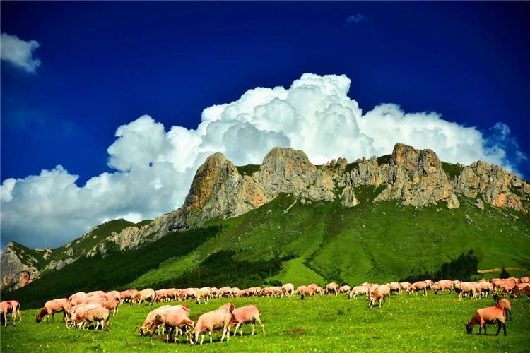 天气预报 | 若尔盖县天气预报 - 川观新闻