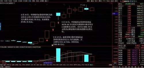 游资大佬赵老哥近期参与了这几只股票,他