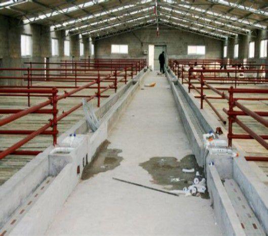 供应牛舍建设,牛舍保温板供应