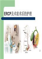 ercp及术前术后护理概念.ppt