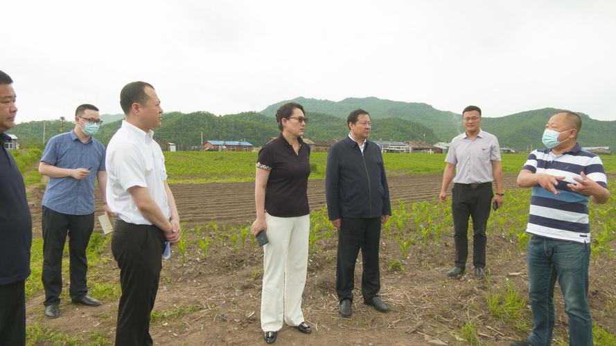 白波到南岔县调研并看望慰问离退休老党员_魅力伊春