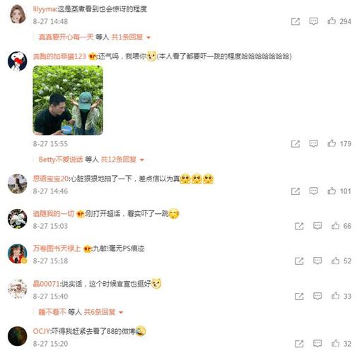荣耀夫妇后洋迪cp开启,粉丝:我们有他们官宣,结婚,蜜月的凭证