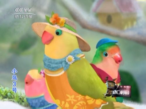 小鸟3号的简介