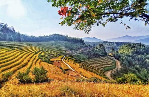 上堡梯田入选全国"最美梯田"排行榜前三!