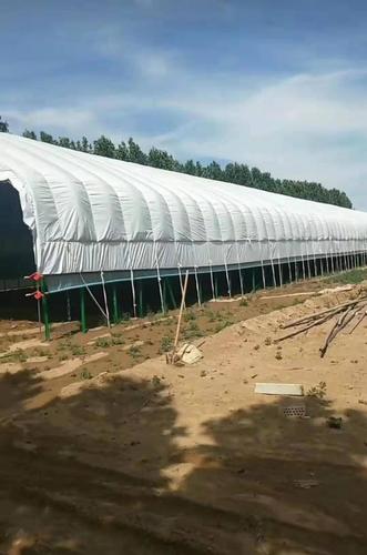 养殖大棚 养殖温室大棚