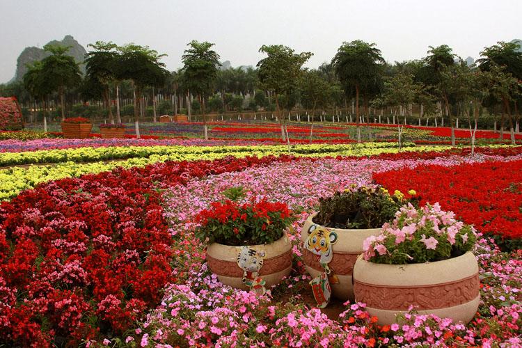 南宁花花大世界