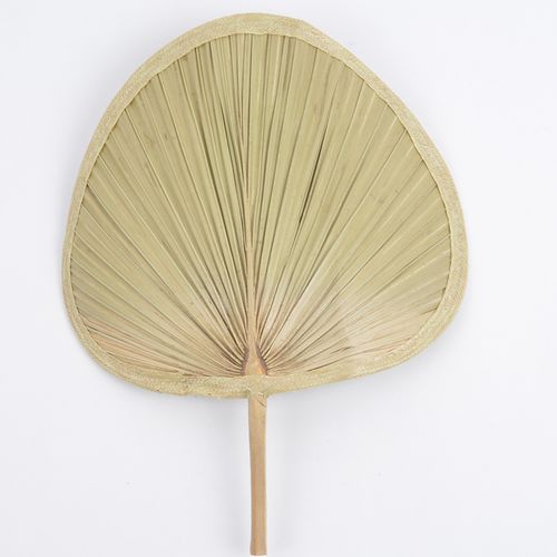 扇子济公扇老人老式大蒲扇蒲草纳凉扇芭蕉扇舞蹈绘画扇棕叶烧烤扇