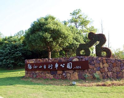 宜兴龙池山自行车公园 - 自行车租赁费2小时