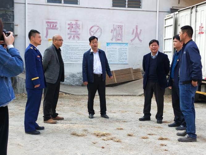 龙门县副县长张建民,政协副主席吴瑞强率队到我镇开展