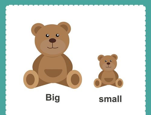 主题课:《大和小》        学会目测有明显大小差异的物体,懂得物体的