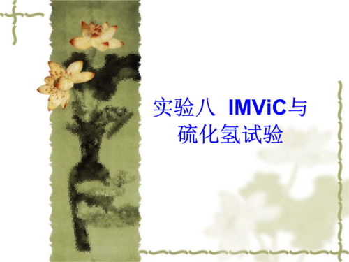 imvic与硫化氢试验.ppt