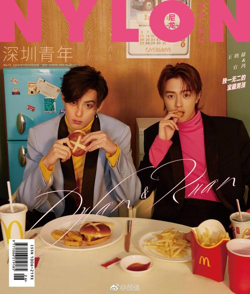 王鹤棣x官鸿 | nylon尼龙封面 复古的造型,颜色大胆的