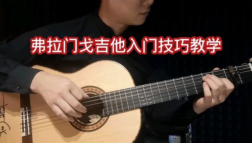 5吉他自学三月通视频_自学网 吉他_吉他视频教学  00:12  来源:好看