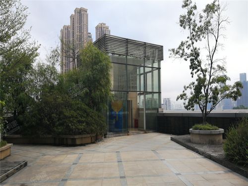 金地香蜜山 普通住宅 小区图3